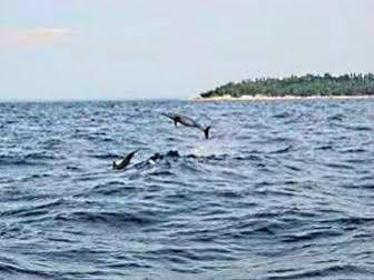 Pamilacan Island Tourist Inn And Restaurant Bohol Екстер'єр фото